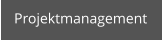 Projektmanagement