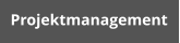 Projektmanagement